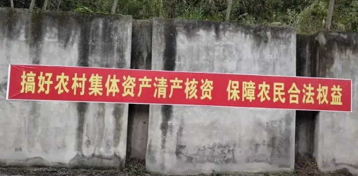 農(nóng)村集體資產(chǎn)包括什么（農(nóng)村集體資產(chǎn)歸誰所有？）