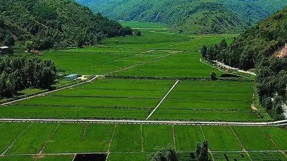宅基地房屋征收、農(nóng)作物評估補(bǔ)償計(jì)算公式？