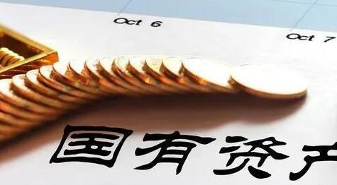 《企業(yè)國有資產(chǎn)評估管理暫行辦法》是否適用于國有參股公司？