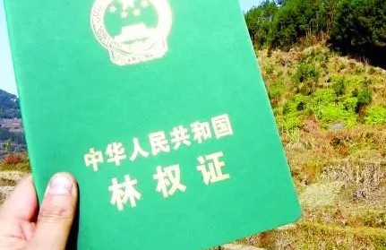 當(dāng)前我國林權(quán)流轉(zhuǎn)的現(xiàn)狀及主要矛盾