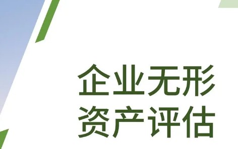 企業(yè)改制中無形資產(chǎn)及評估的影響因素
